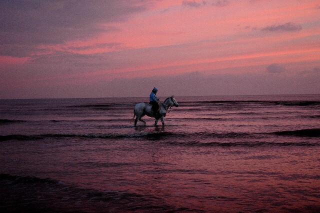 min 2007 11 25 camber plage 070